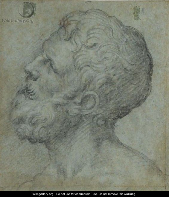 Head Of A Man, Looking Upwards To The Left - Giuseppe della Porta Salviati