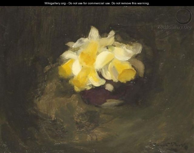 Daffodils - James Stuart Park