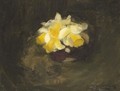 Daffodils - James Stuart Park