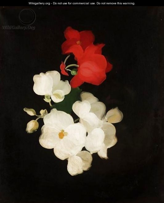 Red And White Roses 2 - James Stuart Park