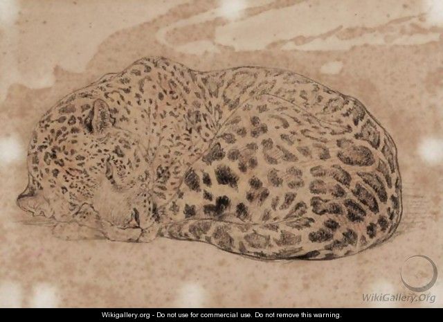 A Leopard - William Huggins