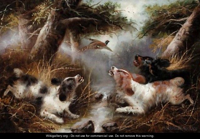Spaniels And A Pheasant 2 - George Armfield