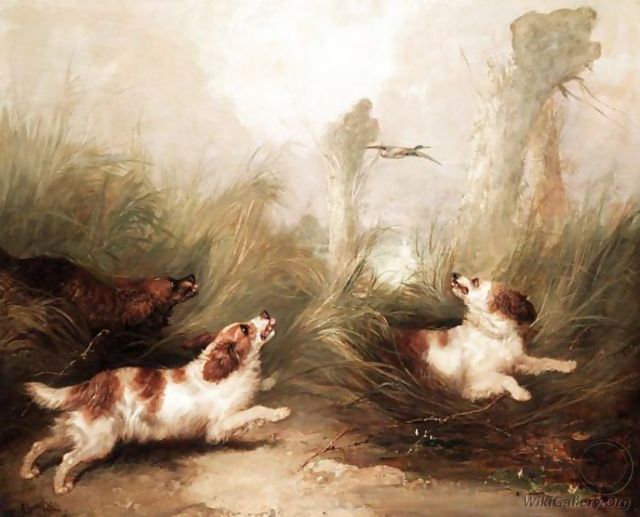 Gun Dogs In The Long Grass - George Armfield