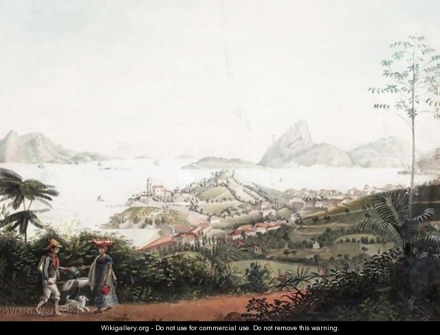 View Of The Entrance Of The Harbour Of Rio Di Janiero Up From The Hill Of Ste Theresa Above The City - Jacob Janssen