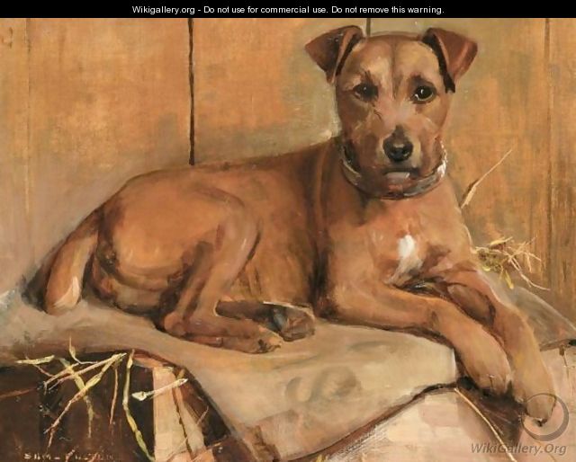 Bruiser, A Terrier - Samuel Fulton