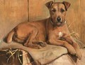 Bruiser, A Terrier - Samuel Fulton