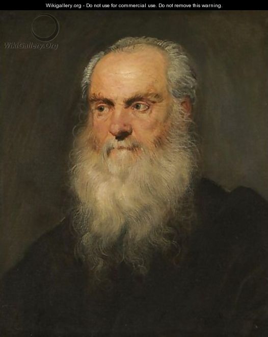 Portrait Of A An Elderly Bearded Man, Head And Shoulders - Jacopo Tintoretto (Robusti)
