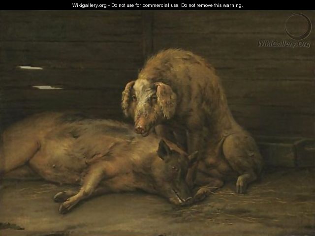 Two Pigs In A Sty - Paulus Potter