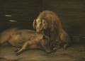 Two Pigs In A Sty - Paulus Potter