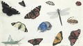 A Sheet Of Studies Of Butterflies, Moths And Beetles, Including A Blue Rhinoceros Beetle And A Grasshopper - Pieter The Elder Holsteyn