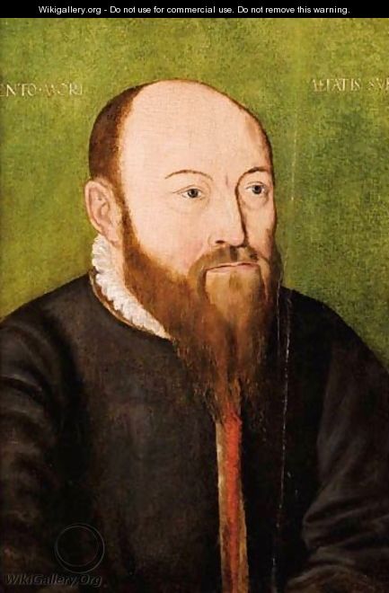 Portrait Of A Bearded Man - (after) Corneille De Lyon