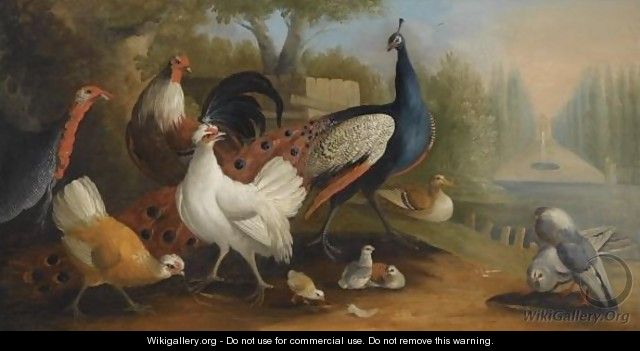 A Peacock, A Turkey, Chickens And Doves In A Garden Setting - (after) Pieter Casteels III