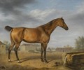 A Study Of A Bay Thoroughbred In A Landscape, A Castle Beyond - Rudolf Kuntz