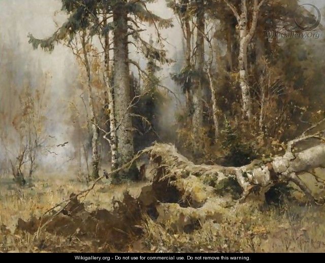 The Forest In Early Morning - Iulii Iul