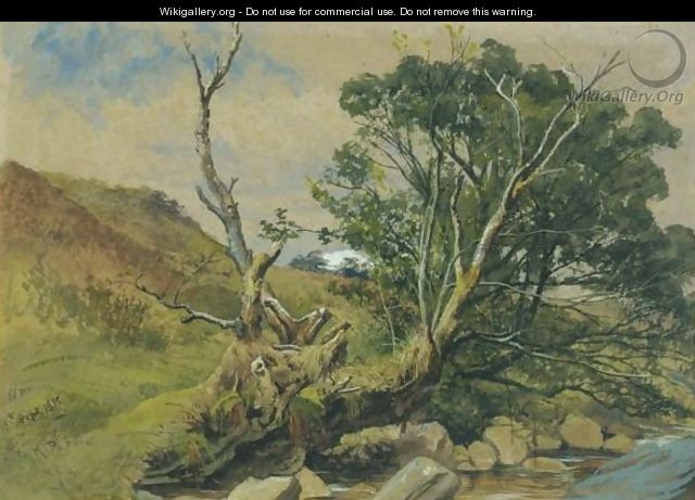A Wooded Stream, Arran - Waller Hugh Paton