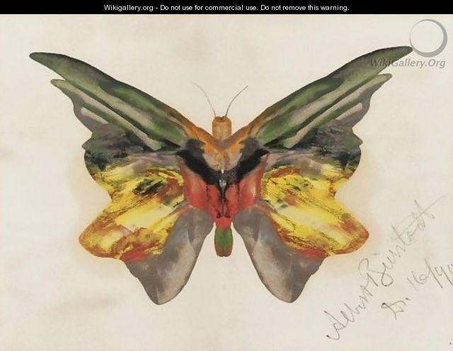 Butterfly 4 - Albert Bierstadt