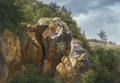 Rochers Rocks - Francois Diday