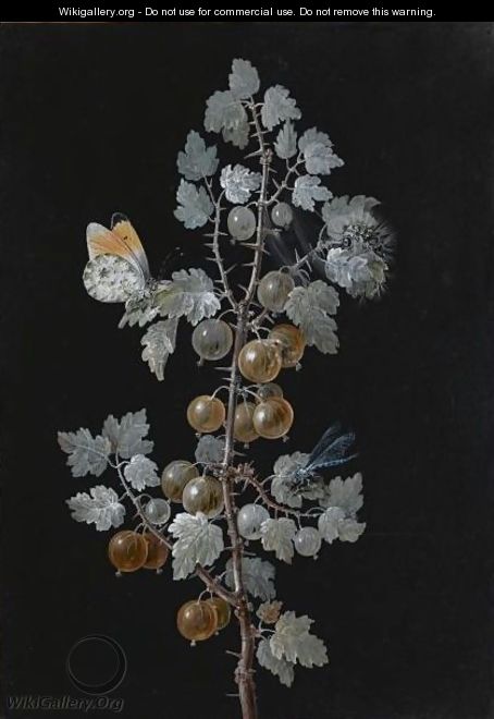 A Gooseberry Branch, With A Dragonfly, Butterfly And Caterpillar - Barbara Regina Dietzsch