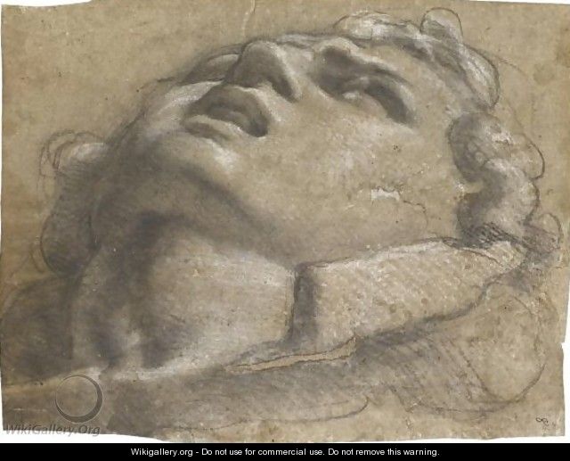 Study Of The Head Of A Young Man - Annibale Carracci