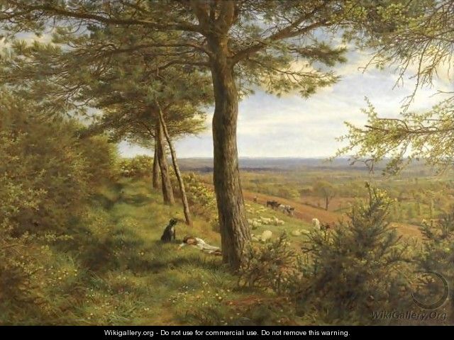 Firs And Furze - James Thomas Linnell