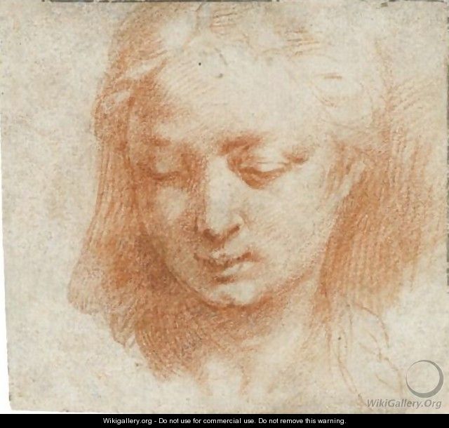 The Head Of A Woman, Looking Down To The Left - Girolamo Francesco Maria Mazzola (Parmigianino)