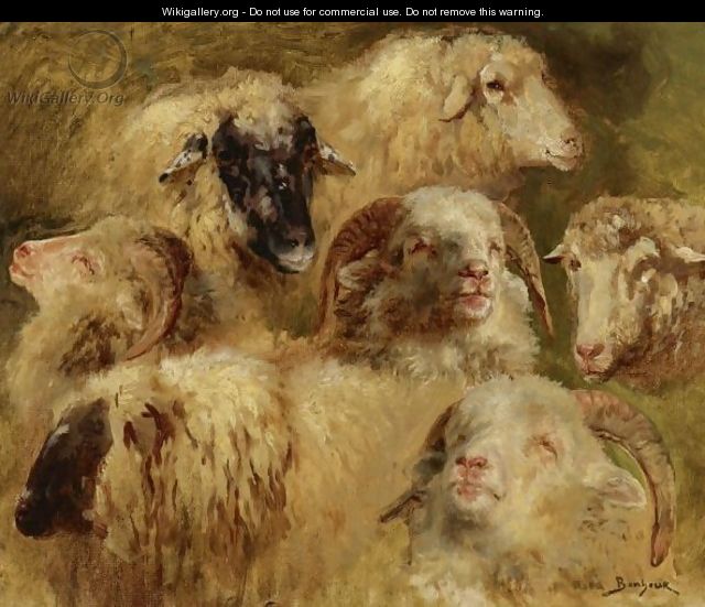 Heads Of Sheep And Rams - Rosa Bonheur