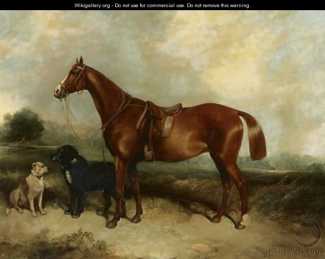 A Chestnut Horse And Two Dogs In A Landscape - George Armfield