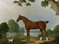 Aconbury, A Hunter, And Coaxer, A Terrier, In A Landscape - James Barenger