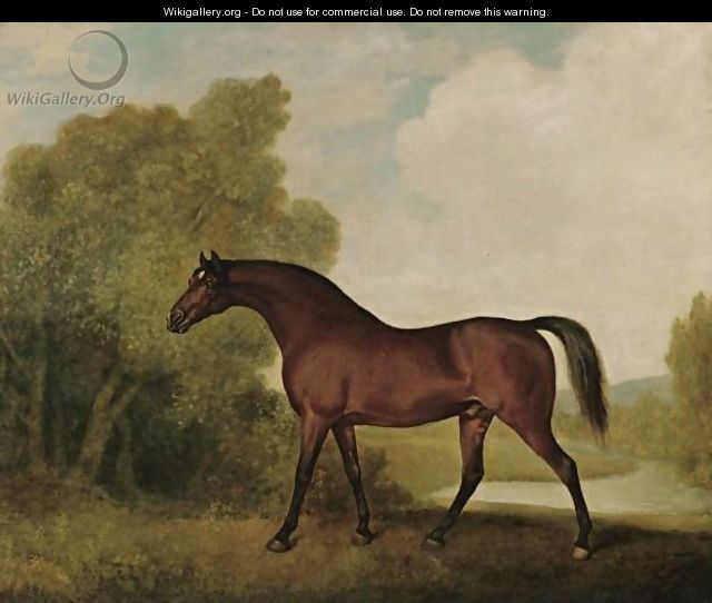 Ambrosio, A Bay Stallion, The Property Of Thomas Haworth - George Stubbs