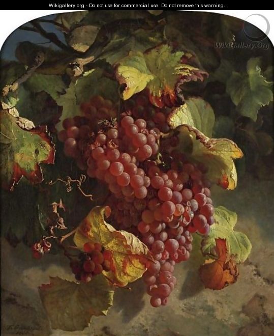 Grapes On A Vine - Theude Gronland