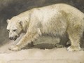The Polar Bear - Archibald Thorburn