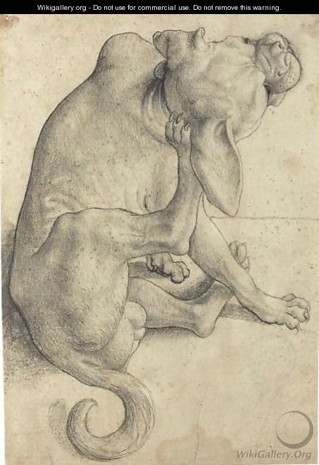 Study Of A Seated Dog Scratching Himself - German School