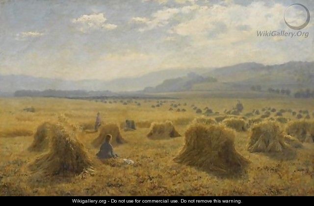 The Haymakers - Duncan Cameron