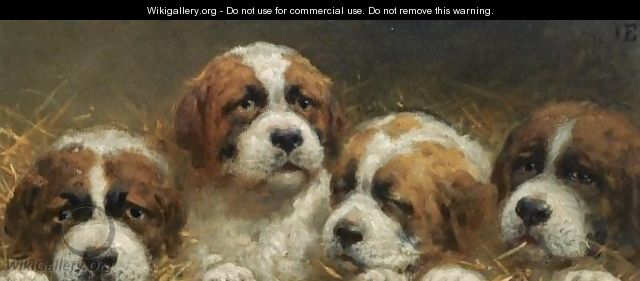 Four Curious Saint Bernards Puppies - Otto Eerelman