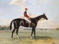 Comte Frederic Lagrange's Black Prince With Quinton Up, At Chantilly - Harry Hall