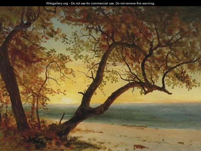 Landscape In The Bahamas - Albert Bierstadt