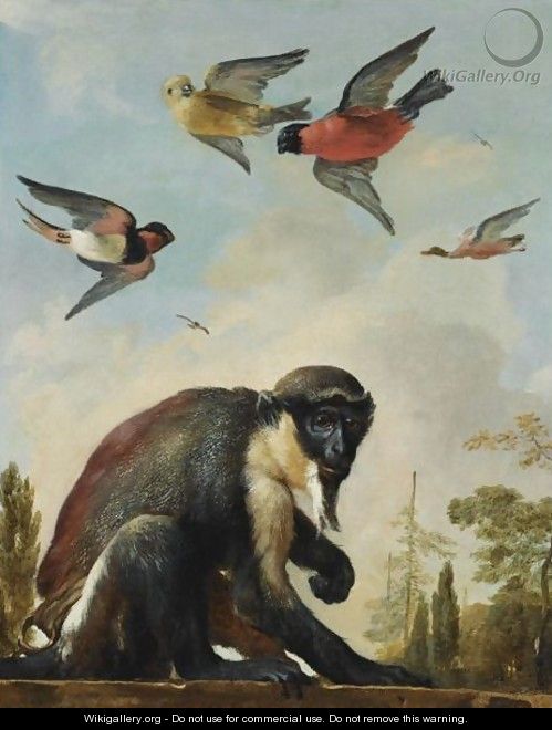 A Diana Monkey On A Chain In A Landscape With Four Colourful Birds In The Sky - Melchoir D