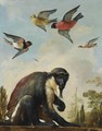 A Diana Monkey On A Chain In A Landscape With Four Colourful Birds In The Sky - Melchoir D'Hondecoeter