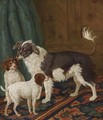 A Longhaired Black-And-White Dog With Bushy Tail And Two Brown Spotted White Puppies In An Interior - Tethart Philip Christiaan Haag