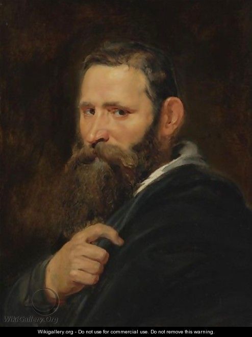 Head Of A Bearded Man - Peter Paul Rubens