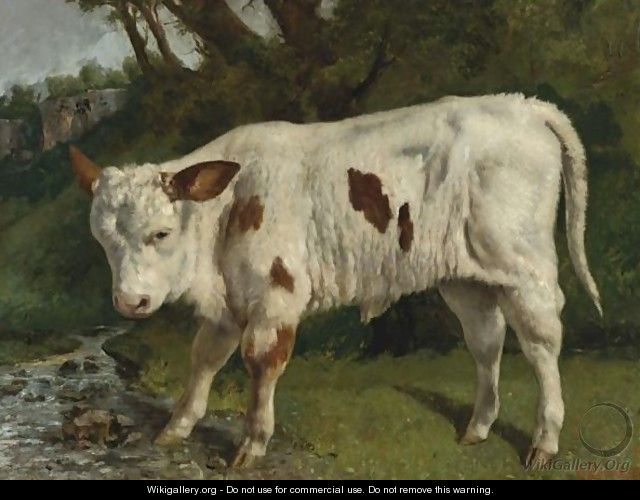 Le Veau Blanc - Gustave Courbet