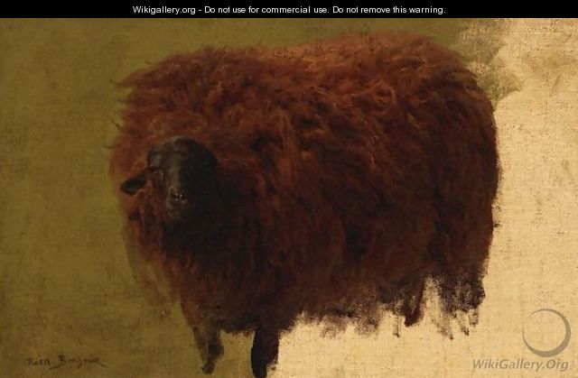 Large Wooly Sheep (Wether) - Rosa Bonheur