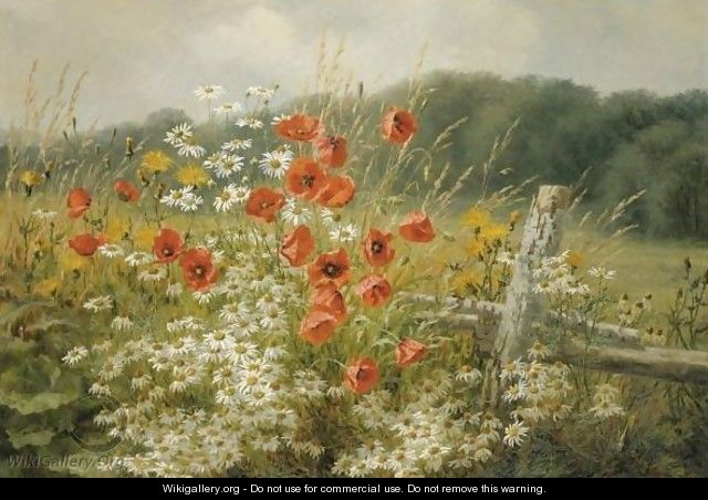 Poppies And Daisies - Anthonore Christensen