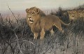 Lowen In Verbrannter Steppe (Lions In A Burnt Steppe) - Wilhelm Kuhnert