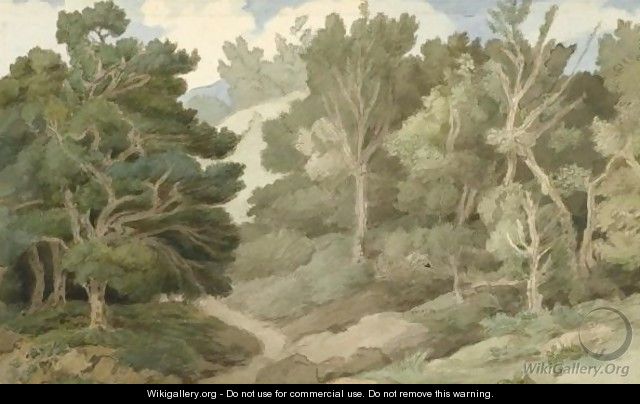 A Path Through A Wooded Landscape - Francis Towne