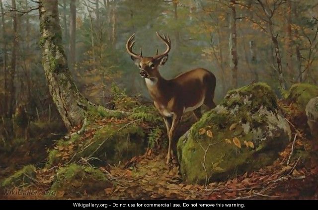 Buck In The Forest - Arthur Fitzwilliam Tait