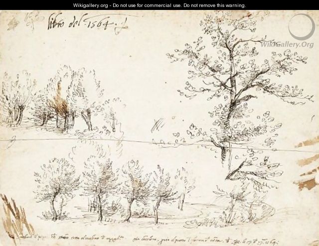 Poplar Trees Along A Road And Other Tree Studies - Gherado Cibo