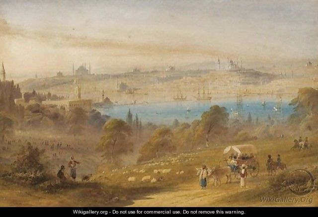 View Of Constantinople Up On The Hills - William Purser
