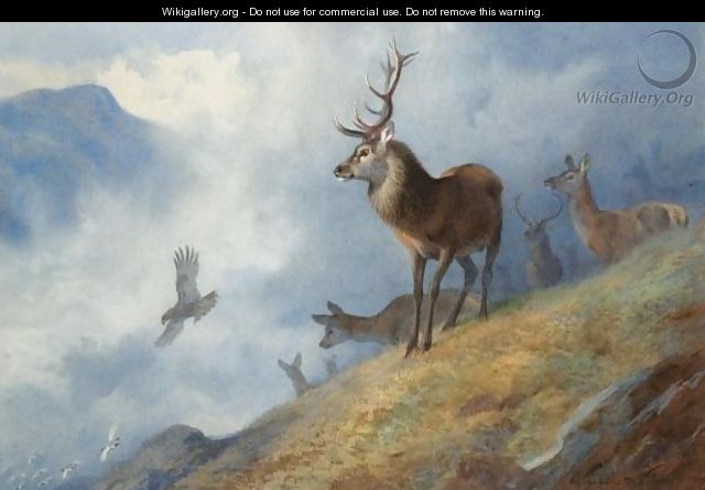 Red Deer Watching A Golden Eagle Hunt Ptarmigan - Archibald Thorburn