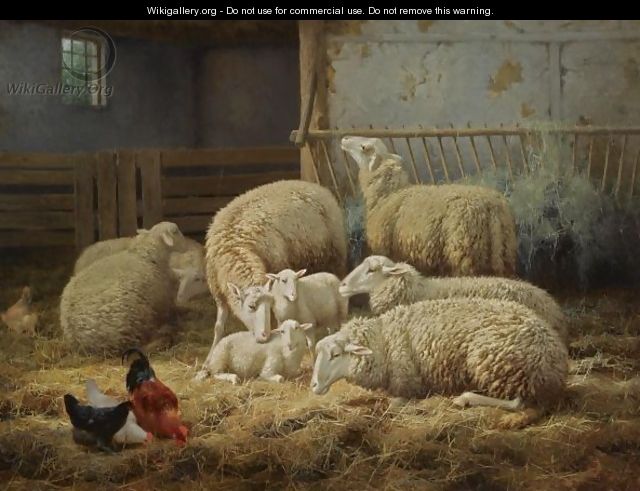 Sheep And Chickens In A Barn - Theo van Sluys